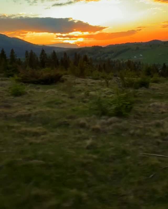 Золоті заходи